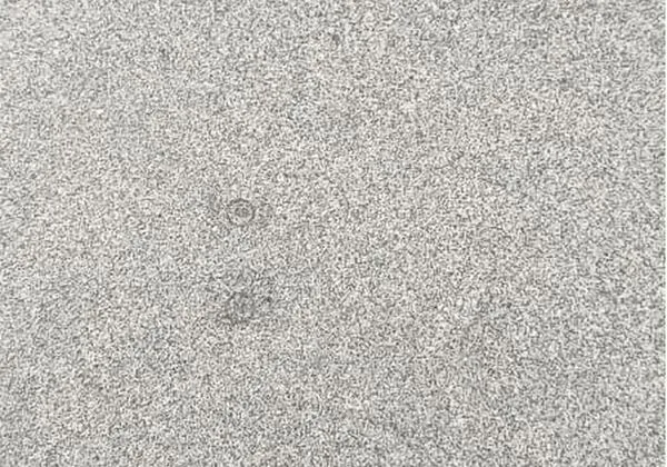 Coral Grey Granite polished stone color sample